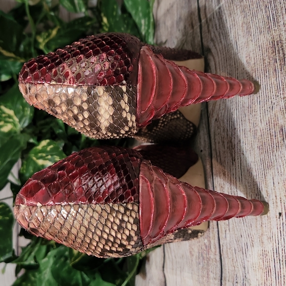 Oscar Del a Renta Snake Skin Heels - Picture 5 of 12